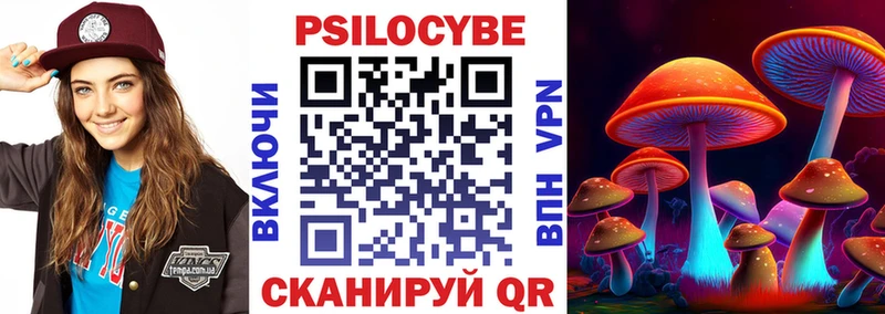 Купить  Будённовск  Псилоцибиновые грибы Psilocybe 